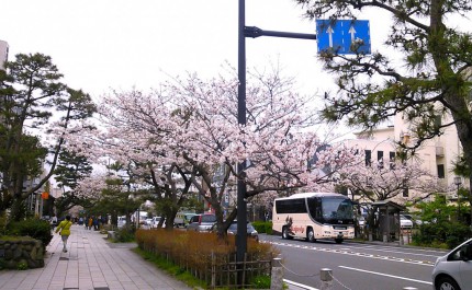 今日の鎌倉校